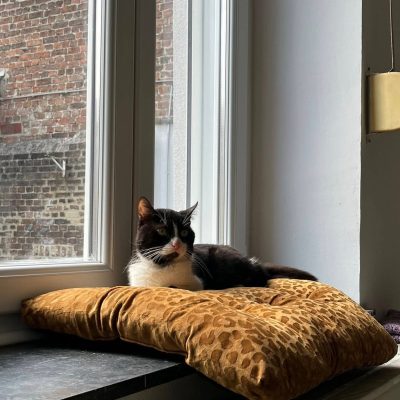 01.09.25 News Kookai