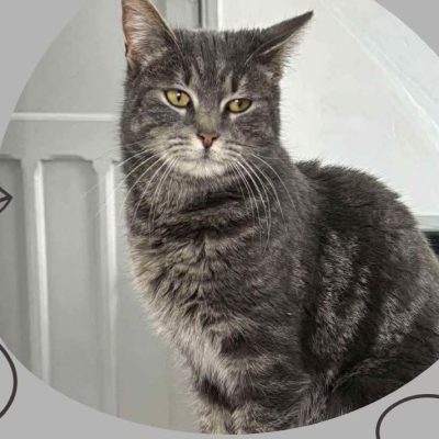 02.02.26 Adoption Gisèle