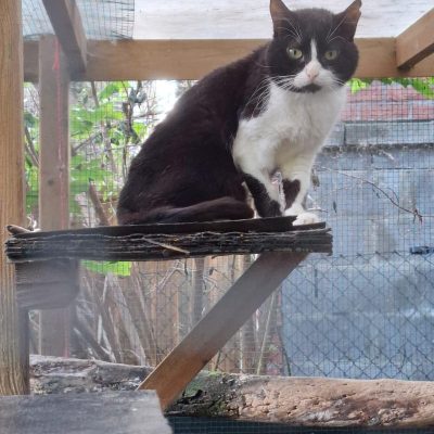 02.08.25 Retour de Kookai