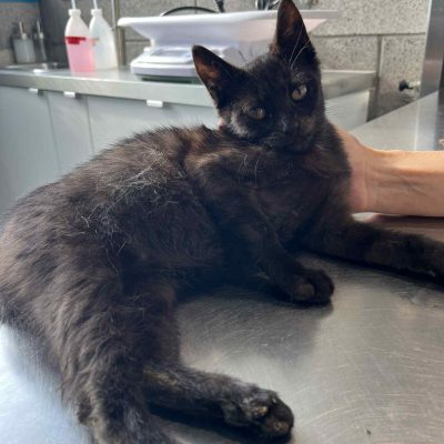 02.10.25 News Gaspard