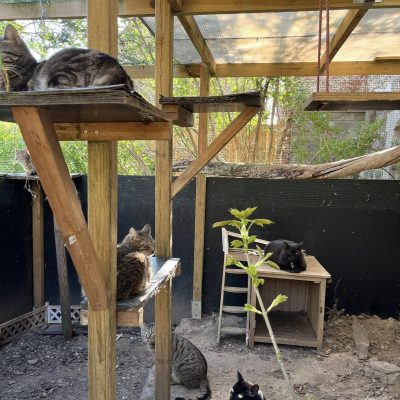 03.04.25 Vie extérieure 1