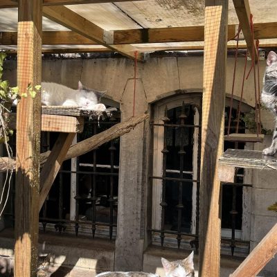 03.04.25 Vie extérieure 2