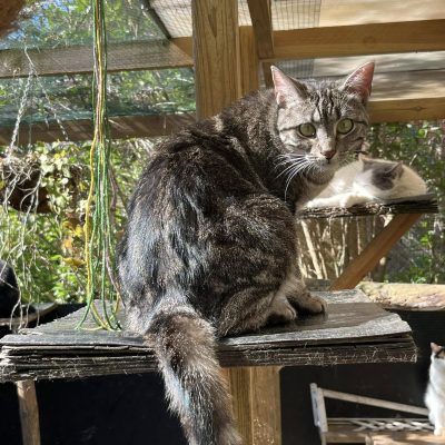 03.04.25 Vie extérieure 3