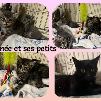 04.05.26 News Esmée et les bébés