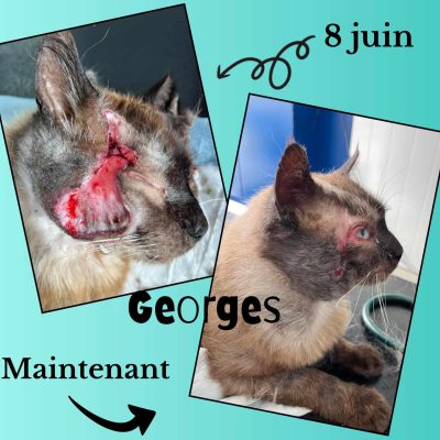 04.07.24 News Georges