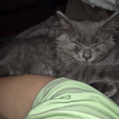 04.07.26 News Nox et Néo 1