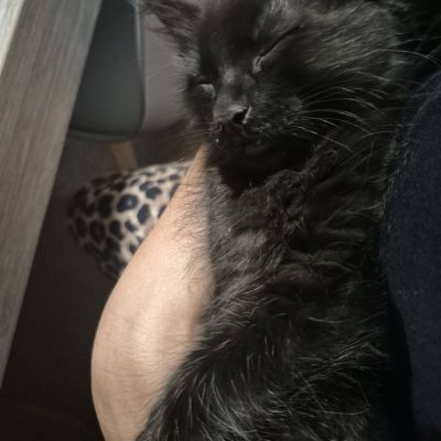 04.07.26 News Nox et Néo 2