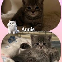 05.06.26 Annie