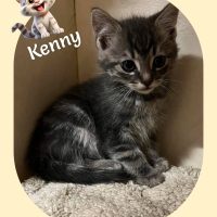 05.06.26 Kenny