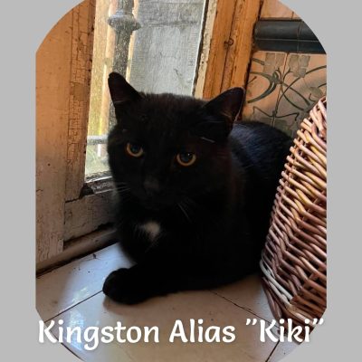 05.06.26 Kiki