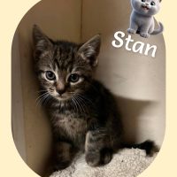 05.06.26 Stan