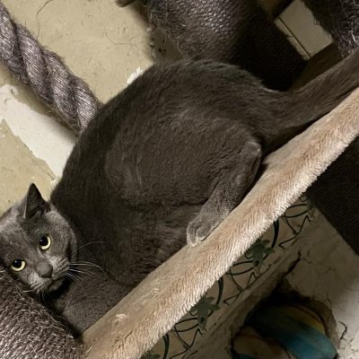 05.07.25 Décès Sally