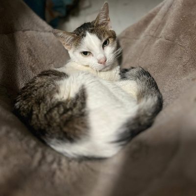 05.08.25 Décès Jared