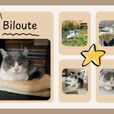 06.01.26 Décès Biloute