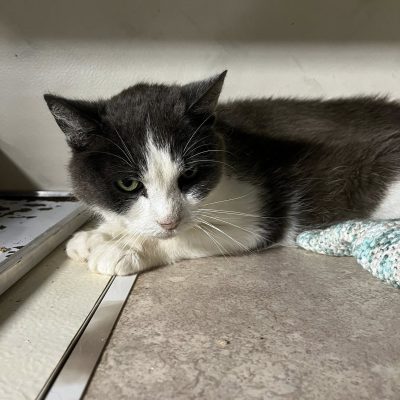 06.08.25 Arrivée Blue