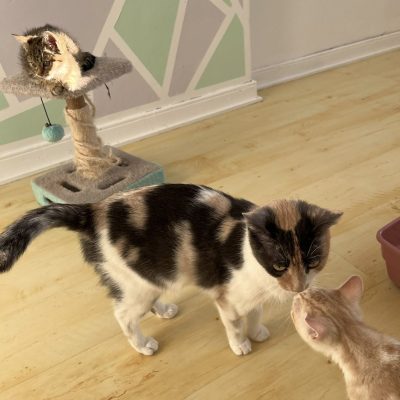 07.11.25 News Lili et Zia