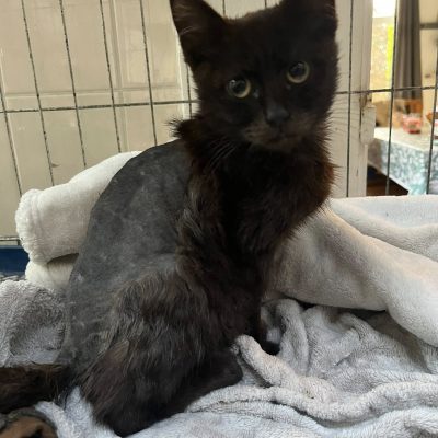 08.10.25 News Miracle