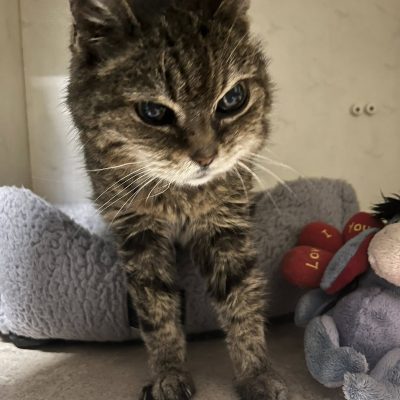 09.08.25 Arrivée Mirabelle