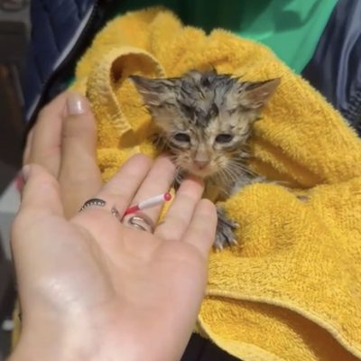 09.09.25 Arrivée Zia