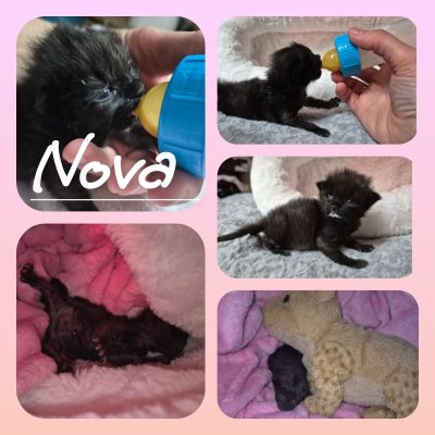 09.09.26 News Nova