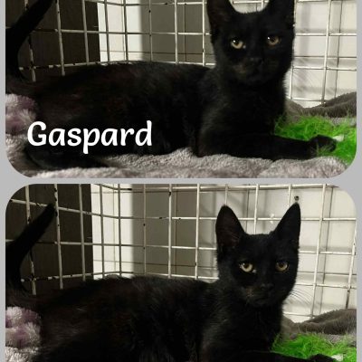 09.10.25 News Gaspard