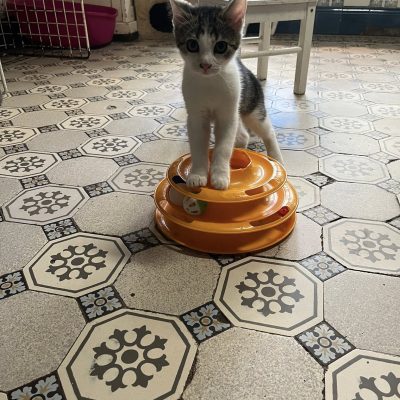 10.07.25 Bébé joueur 1