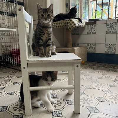 10.07.25 Bébé joueur 2