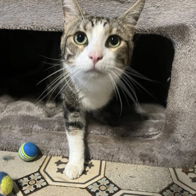 10.08.25 Arrivée Nolan