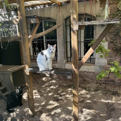 11.04.25 Vie extérieure 3