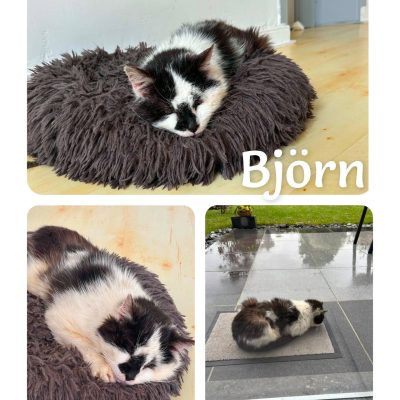 11.05.26 Arrivée Bjorn