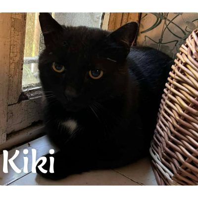 11.05.26 Arrivée Kiki