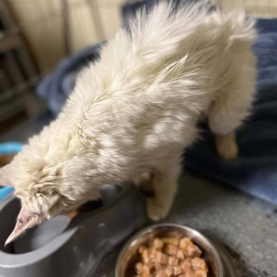 11.05.26 Arrivée Yumi