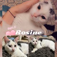 11.09.24 News Rosine