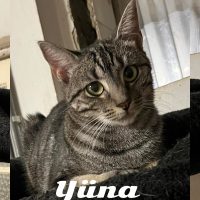 11.09.24 News Yuna