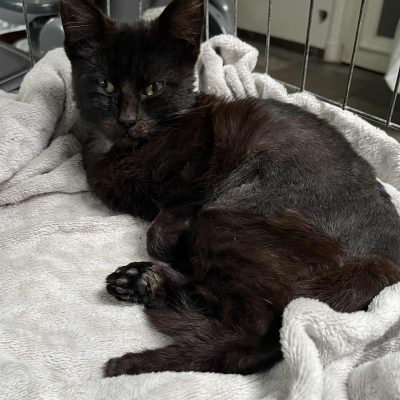 11.10.25 News Miracle