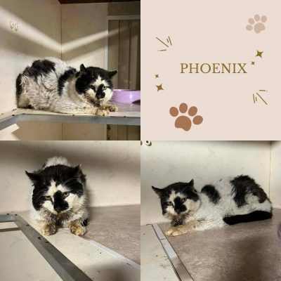 12.04.26 Arrivée Phoenix