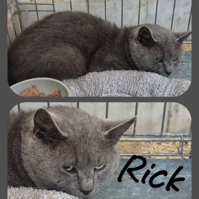 12.09.26 Arrivée Rick