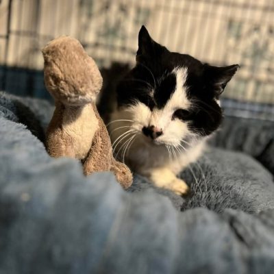 12.10.25 Décès Abby