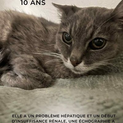 12.11.25 Décès Mirabelle