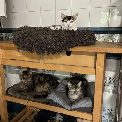 13.07.24 la vie au refuge