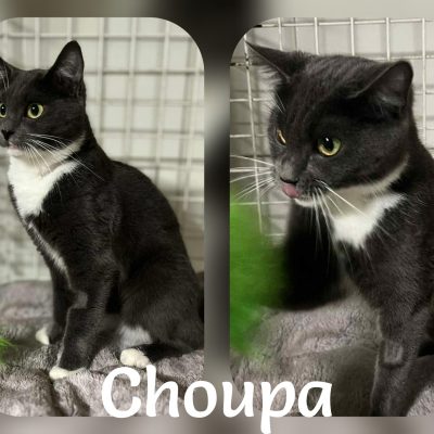 13.10.25 Arrivée Choupa