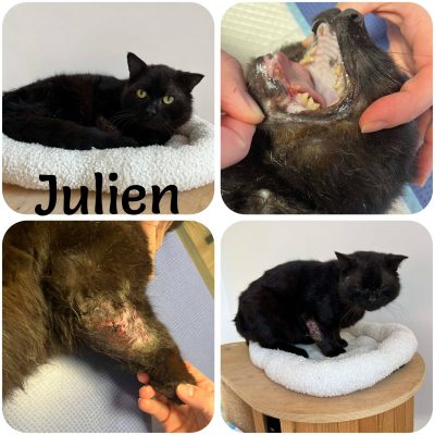 14.04.26 Arrivée Julien