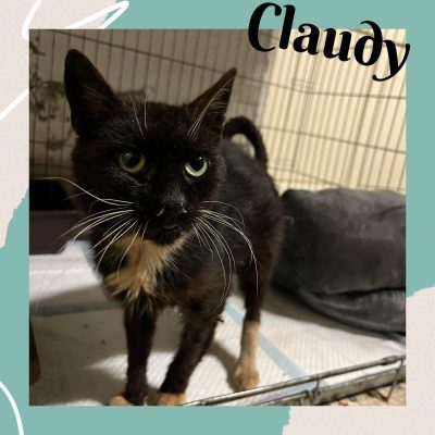 14.06.24 Décès Claudy