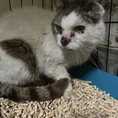 14.08.25 Arrivée Fredo