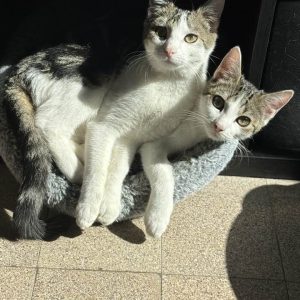 14.09.25 Complicité 1