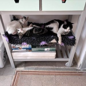 14.09.25 Complicité 2