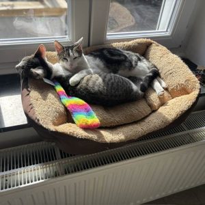 14.09.25 Complicité 3