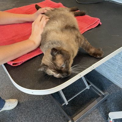 15.09.25 Georges osteo