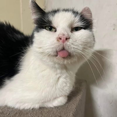 16.06.25 Décès Philippe