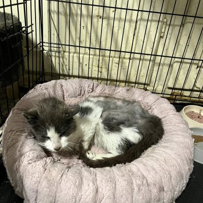 16.07.25 Décès Catherine